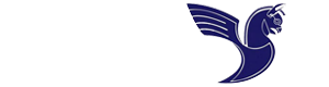 iran airtour copy